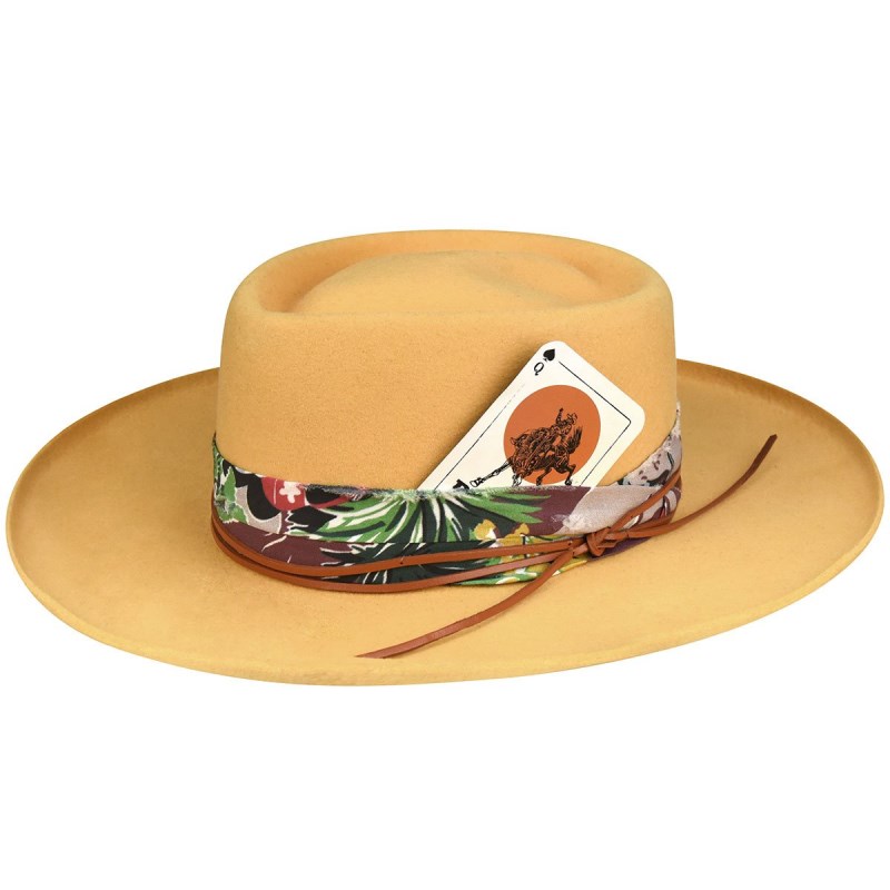Bailey | Renegade Calamity J. - Golden Apricot