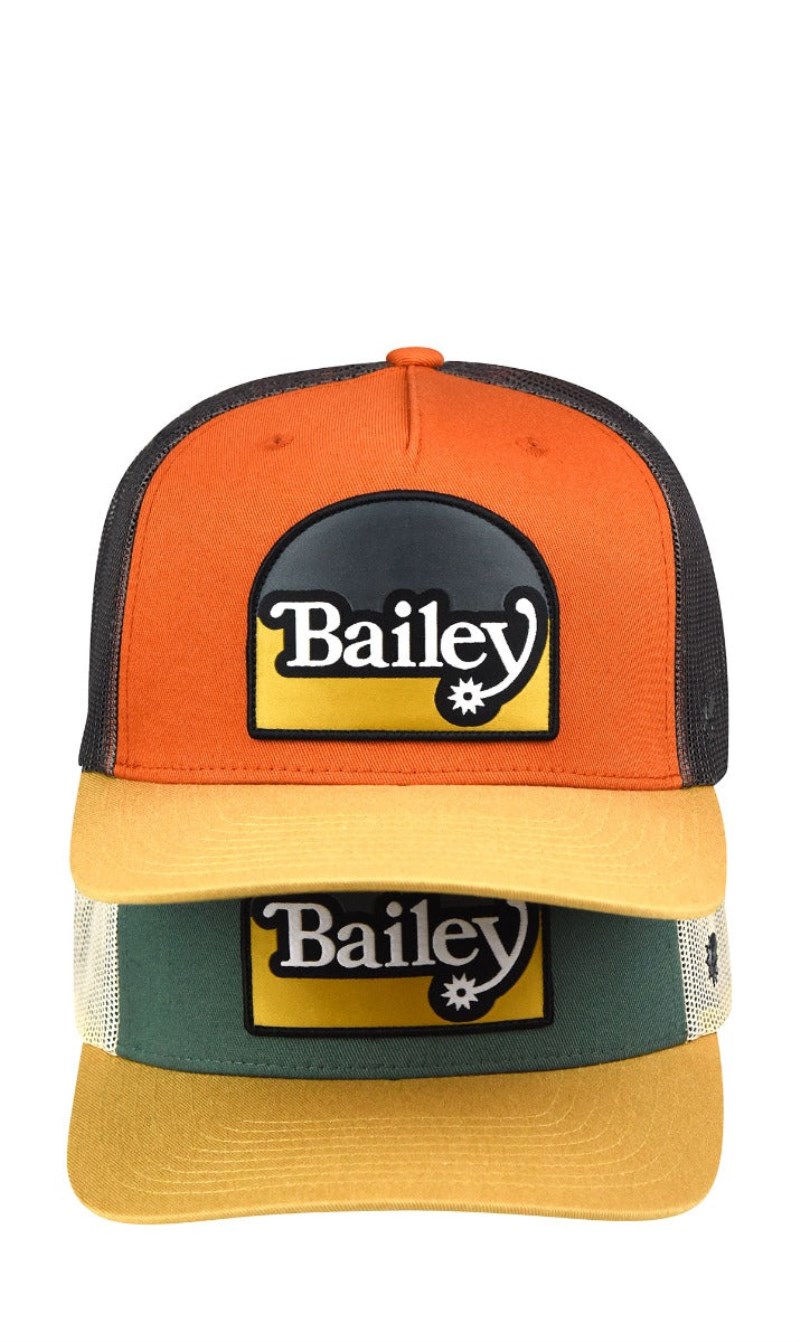 Bailey | Paine - Bombay Brown